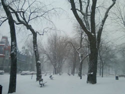 Square St. Louis