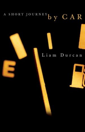 A Short Journey by Car by Liam Durcan