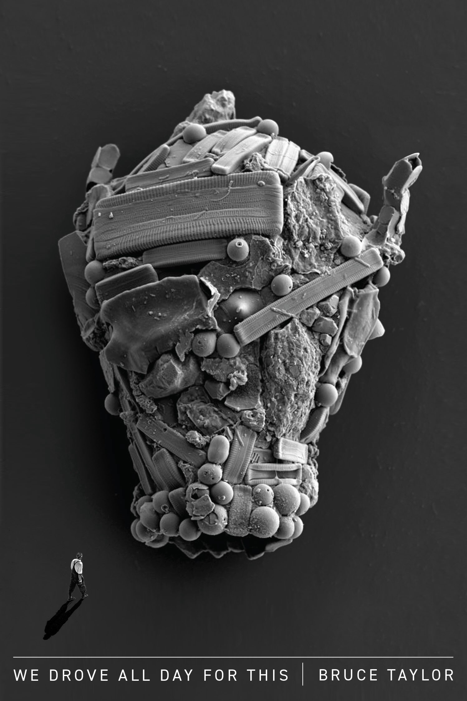 We Drove all Day for This: New and Selected Poems by Bruce Taylor