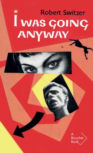 I Was Going Anyway by Robert Switzer