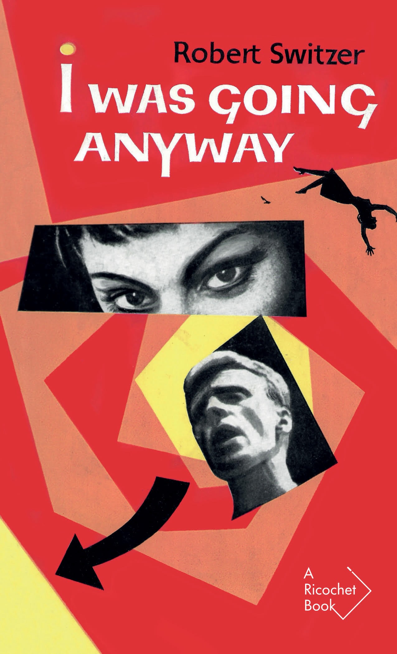 I Was Going Anyway by Robert Switzer